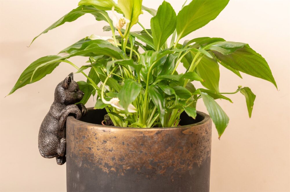 Cat Plant Pot Hanger - Image 5