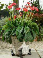 Gamekeeper Trio Plant Pot Feet - Set of 3 - Gamekeeper, Dog and Pheasant