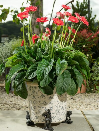 Gamekeeper Trio Plant Pot Feet - Set of 3 - Gamekeeper, Dog and Pheasant
