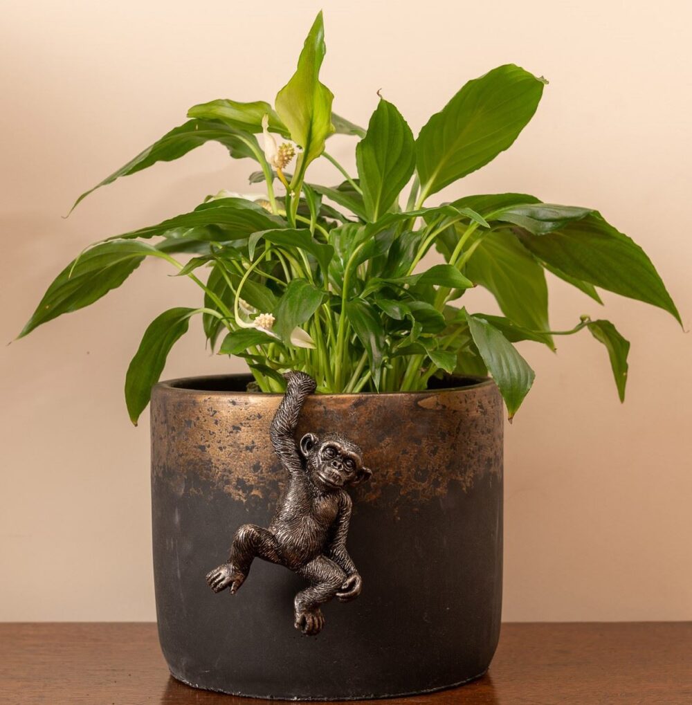 Chimpanzee Plant Pot Hanger - Image 5