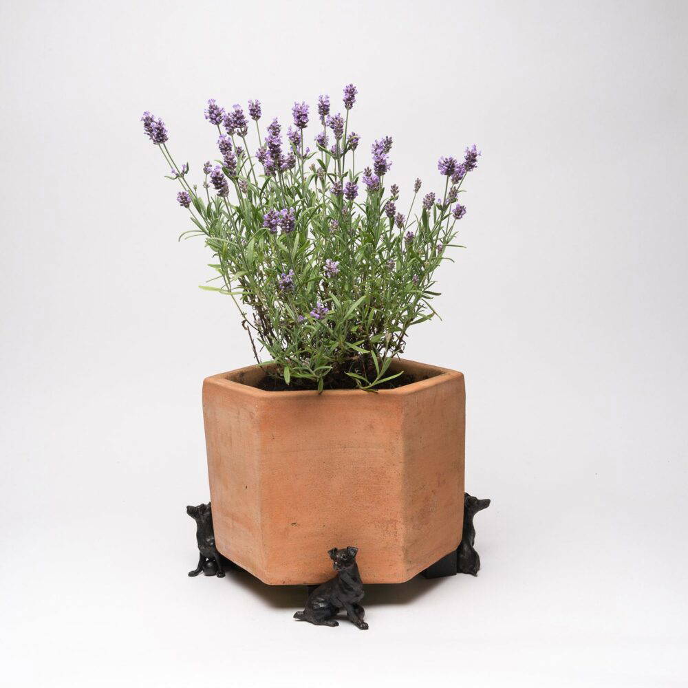 Jack Russell Terrier Plant Pot Feet - Set of 3 - Image 8