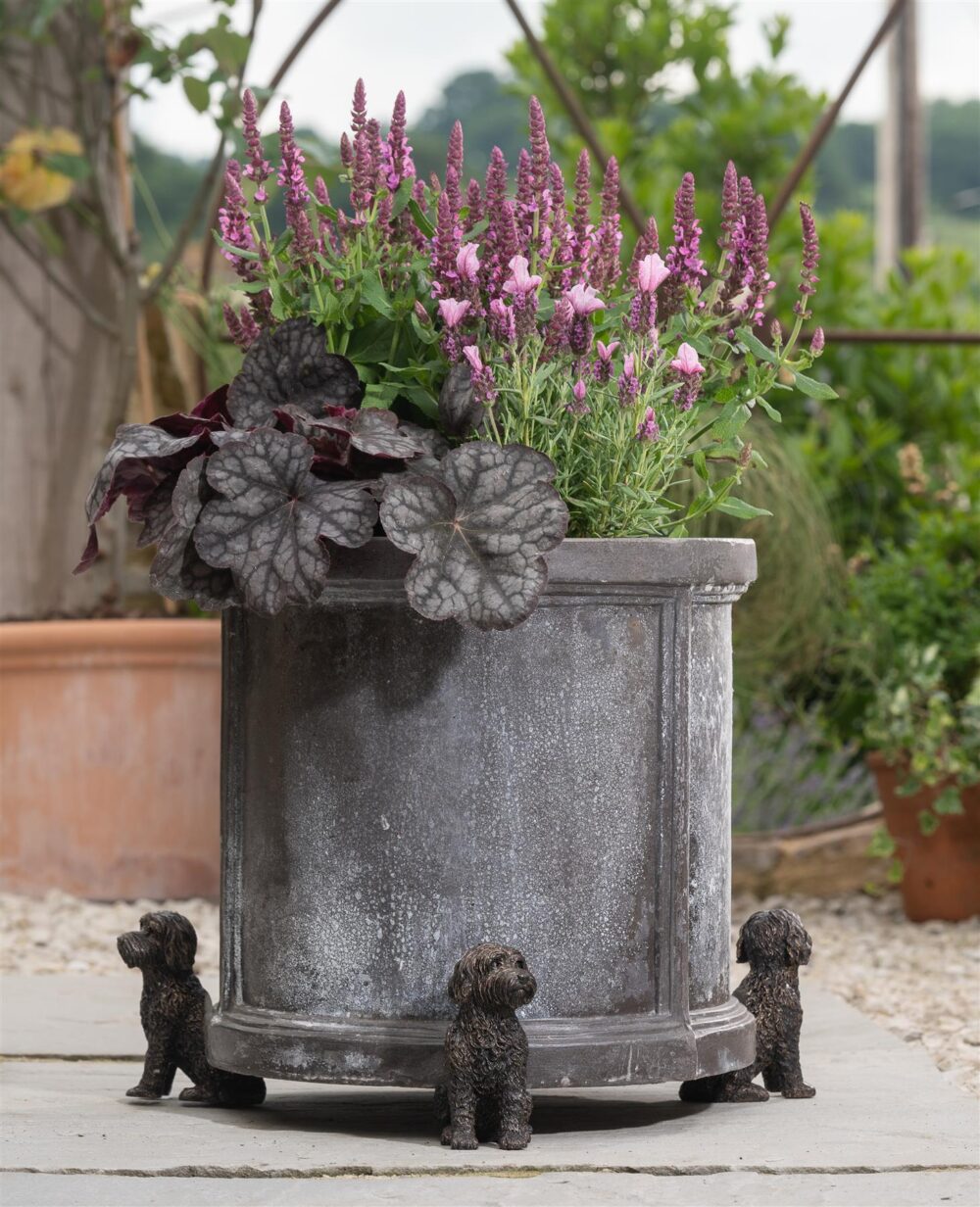 Cockapoo Plant Pot Feet - Set of 3 - Image 3