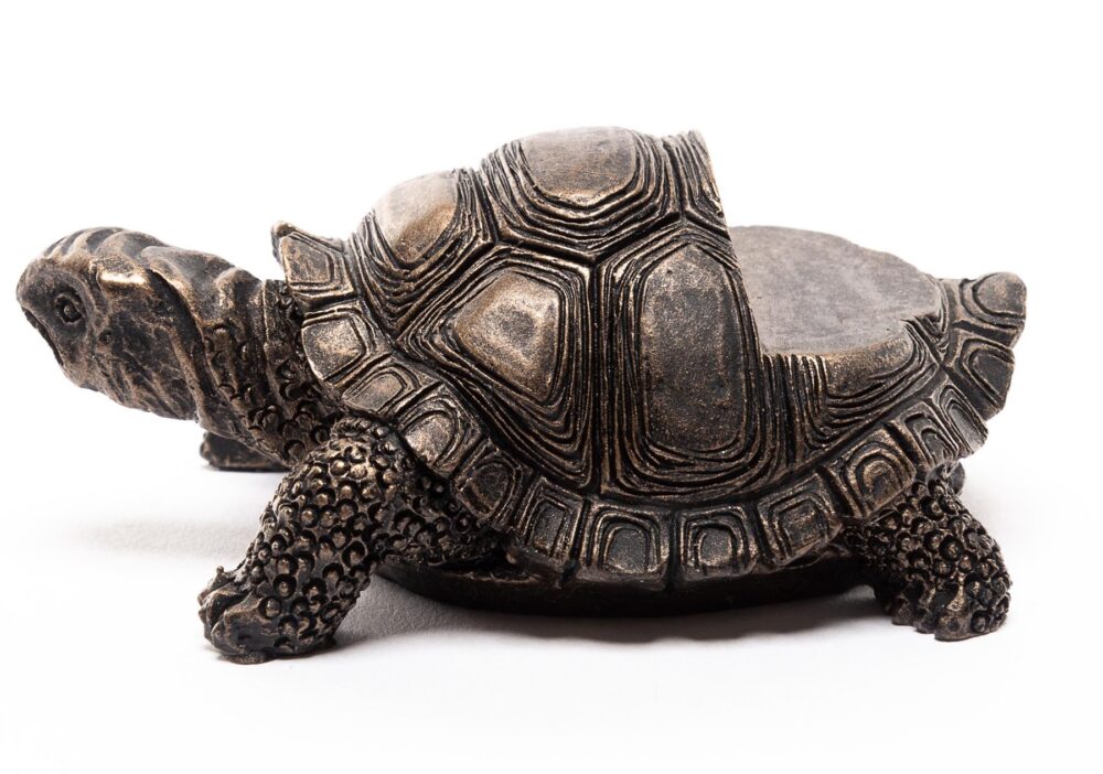 Tortoise Plant Pot Feet - Set of 3 - Image 4