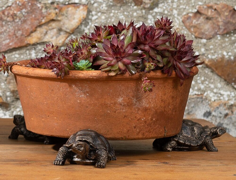 Tortoise Plant Pot Feet - Set of 3