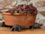 Tortoise Plant Pot Feet - Set of 3
