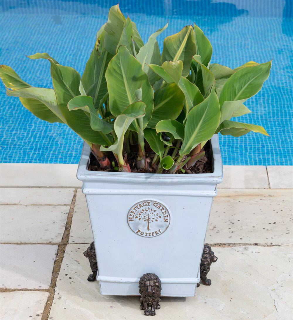 Lion Plant Pot Feet - Set of 3 - Image 7