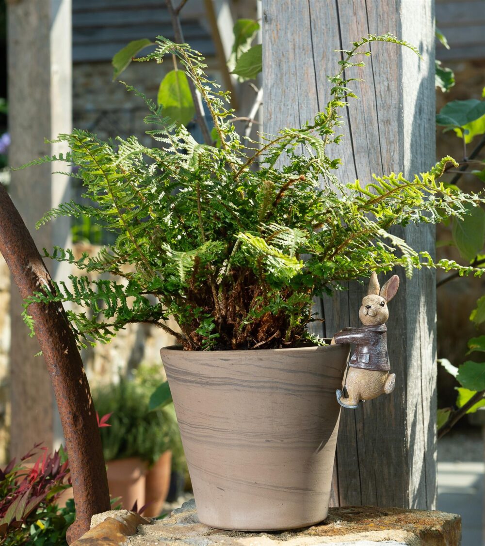 Beatrix Potter Benjamin Bunny Plant Pot Hanger - Image 5