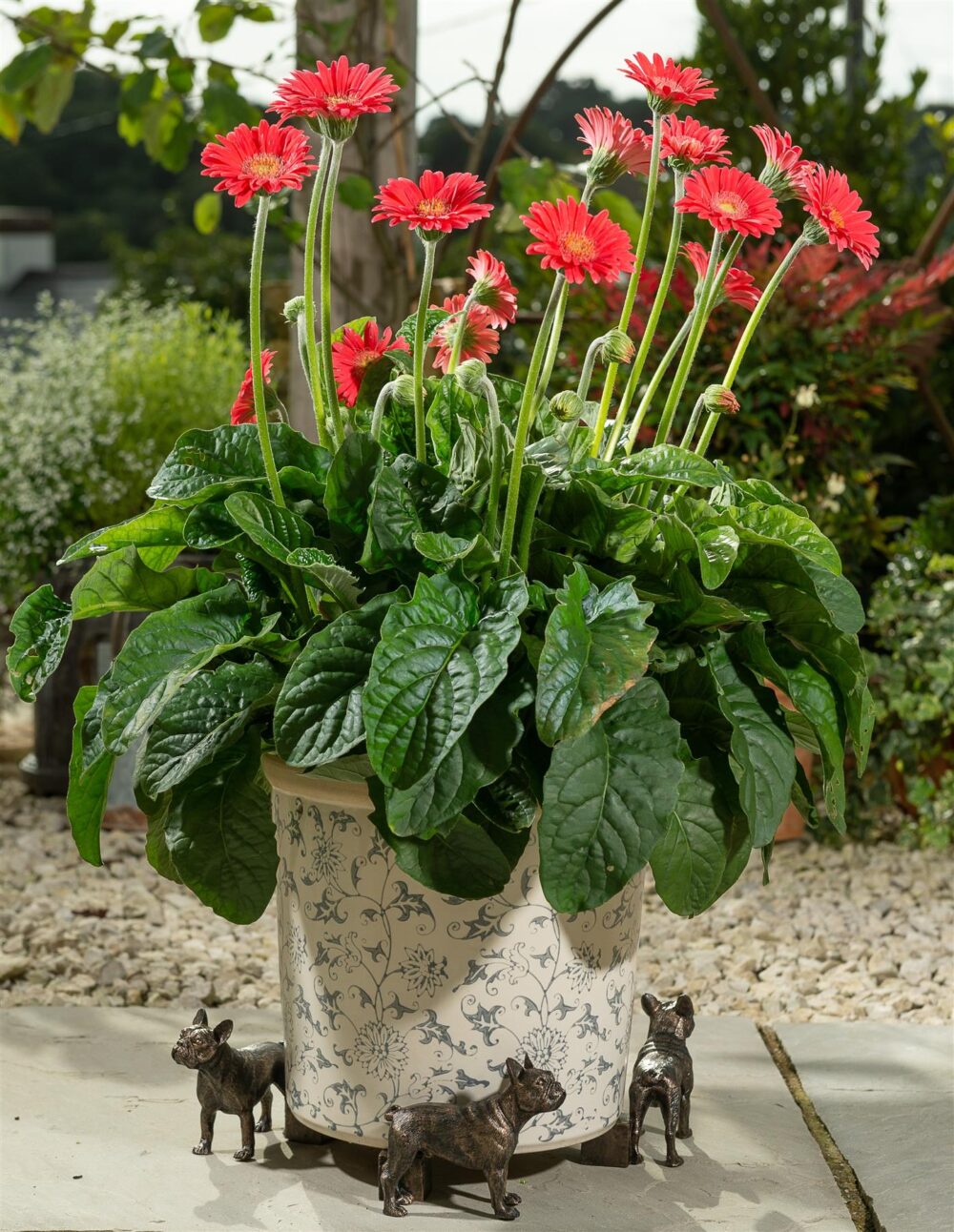French Bulldog Plant Pot Feet - Set of 3