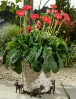 French Bulldog Plant Pot Feet - Set of 3
