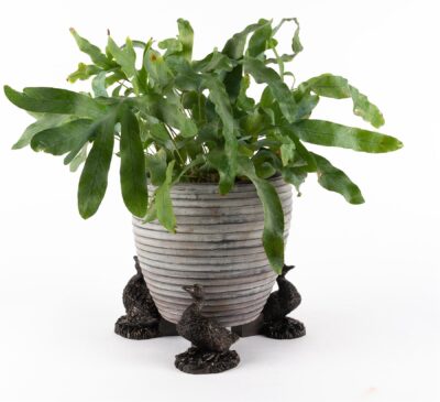 Aylesbury Duck Plant Pot Feet - Set of 3