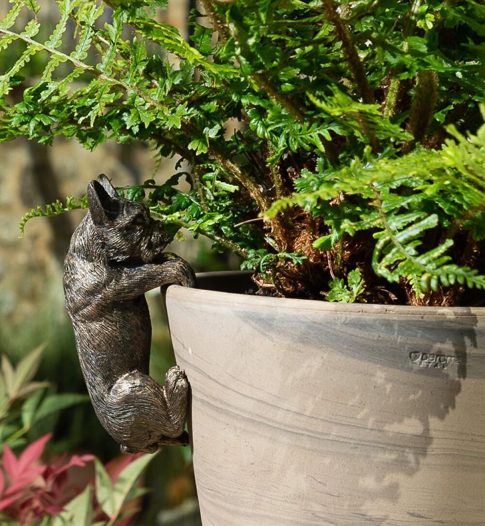 French Bulldog Plant Pot Hanger - Image 3