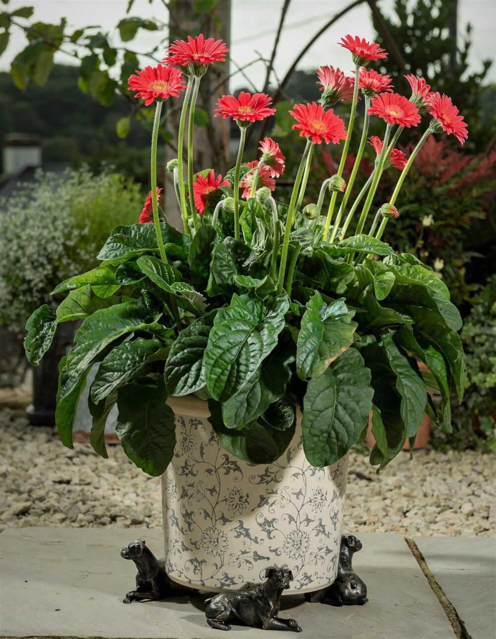 Boxer Dog Plant Pot Feet - Set of 3
