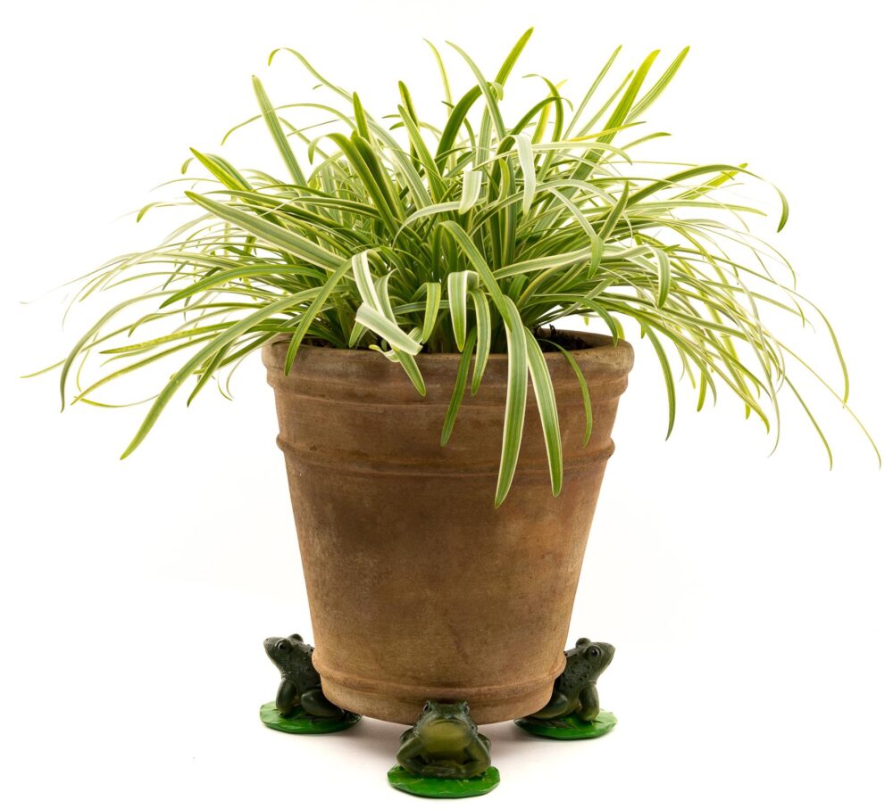 Green Frog Plant Pot Feet - Set of 3 - Image 3