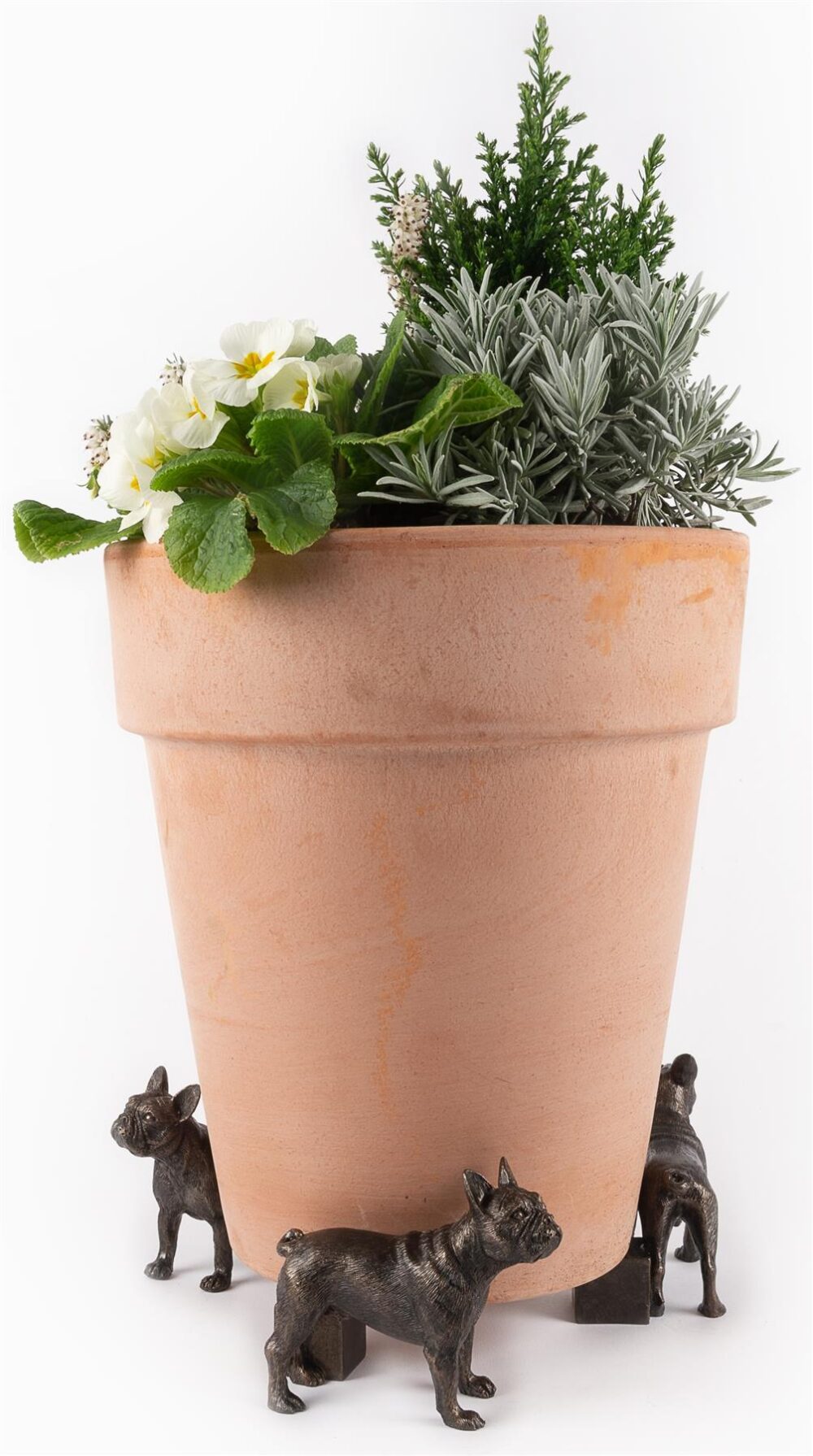 French Bulldog Plant Pot Feet - Set of 3 - Image 6