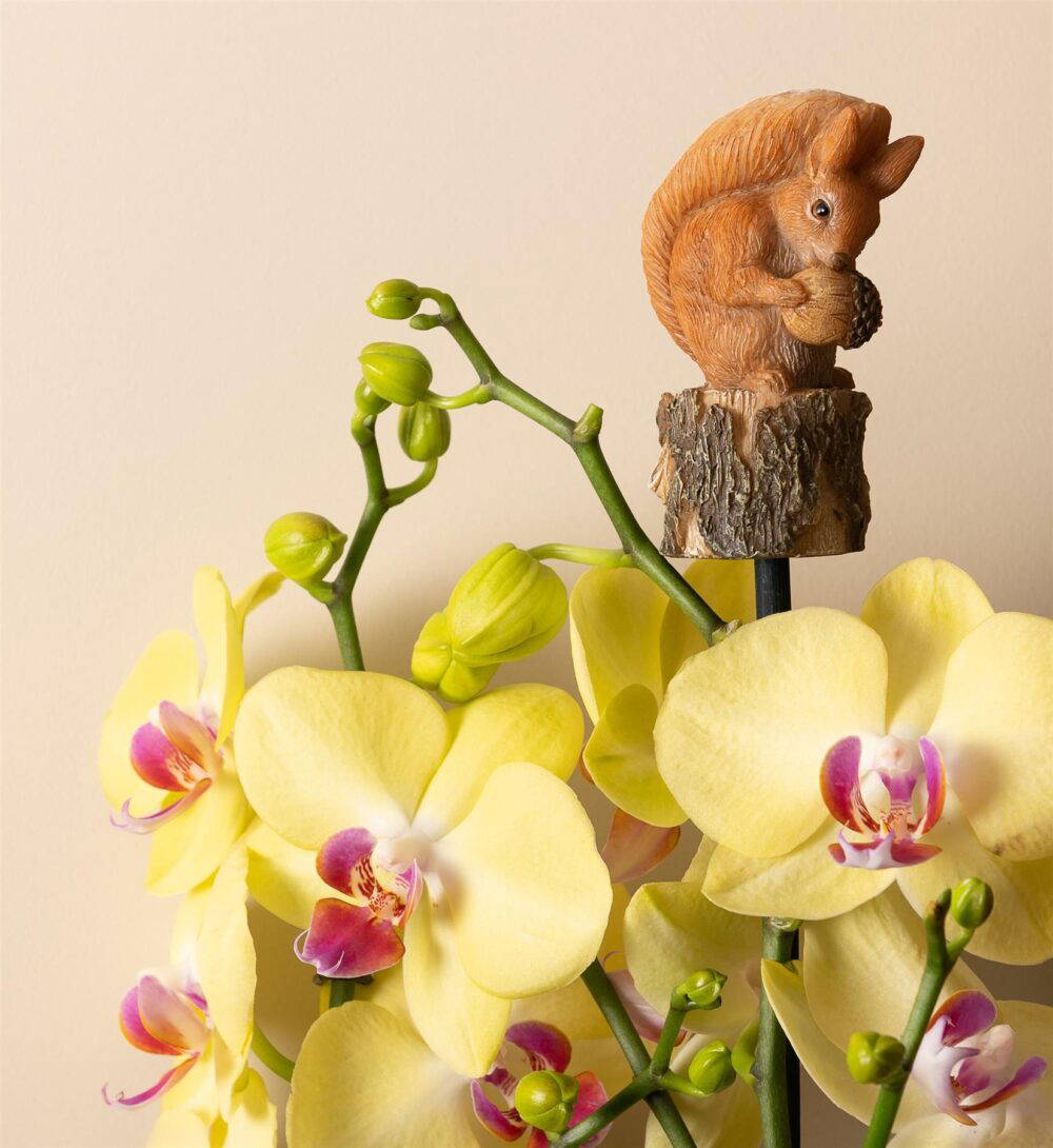 Beatrix Potter Squirrel Nutkin Cane or Stake Topper - Image 5