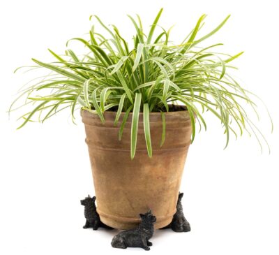 Corgi Plant Pot Feet - Set of 3