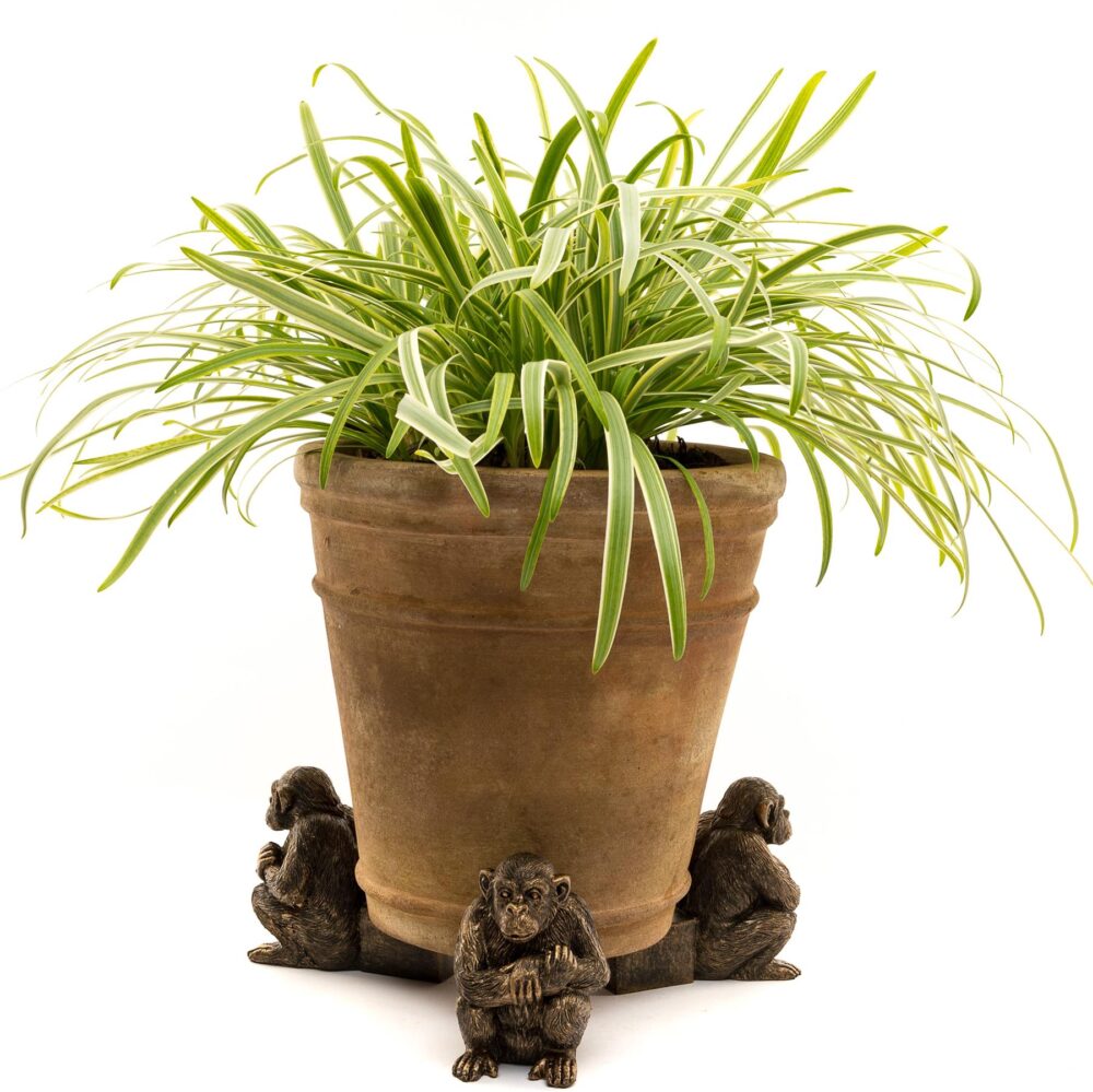 Chimpanzee Plant Pot Feet - Set of 3