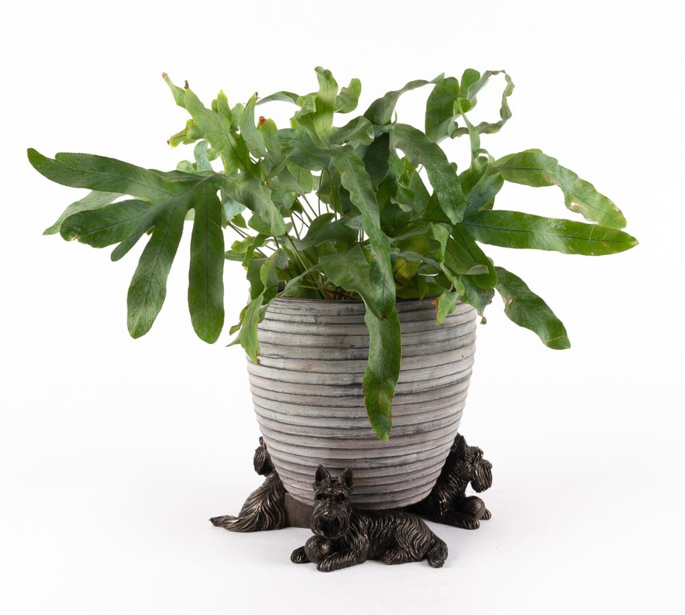 Scottish Terrier Plant Pot Feet - Set of 3
