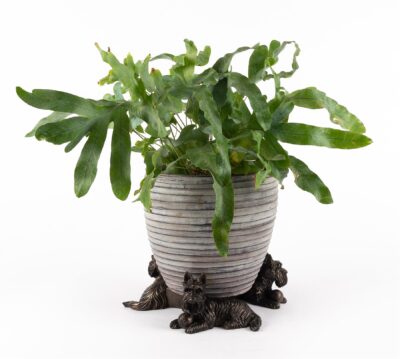 Scottish Terrier Plant Pot Feet - Set of 3