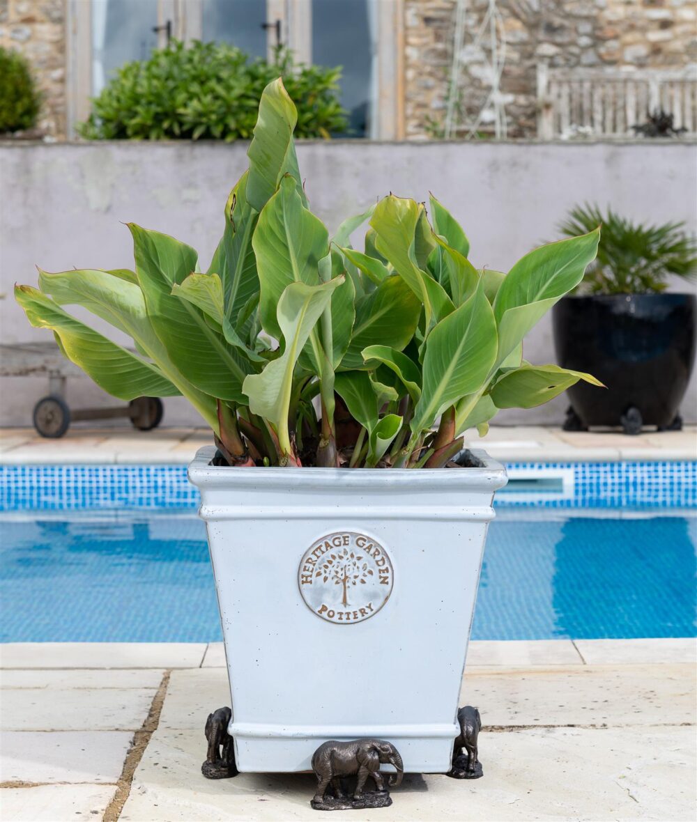 Elephant Plant Pot Feet - Set of 3 - Image 7