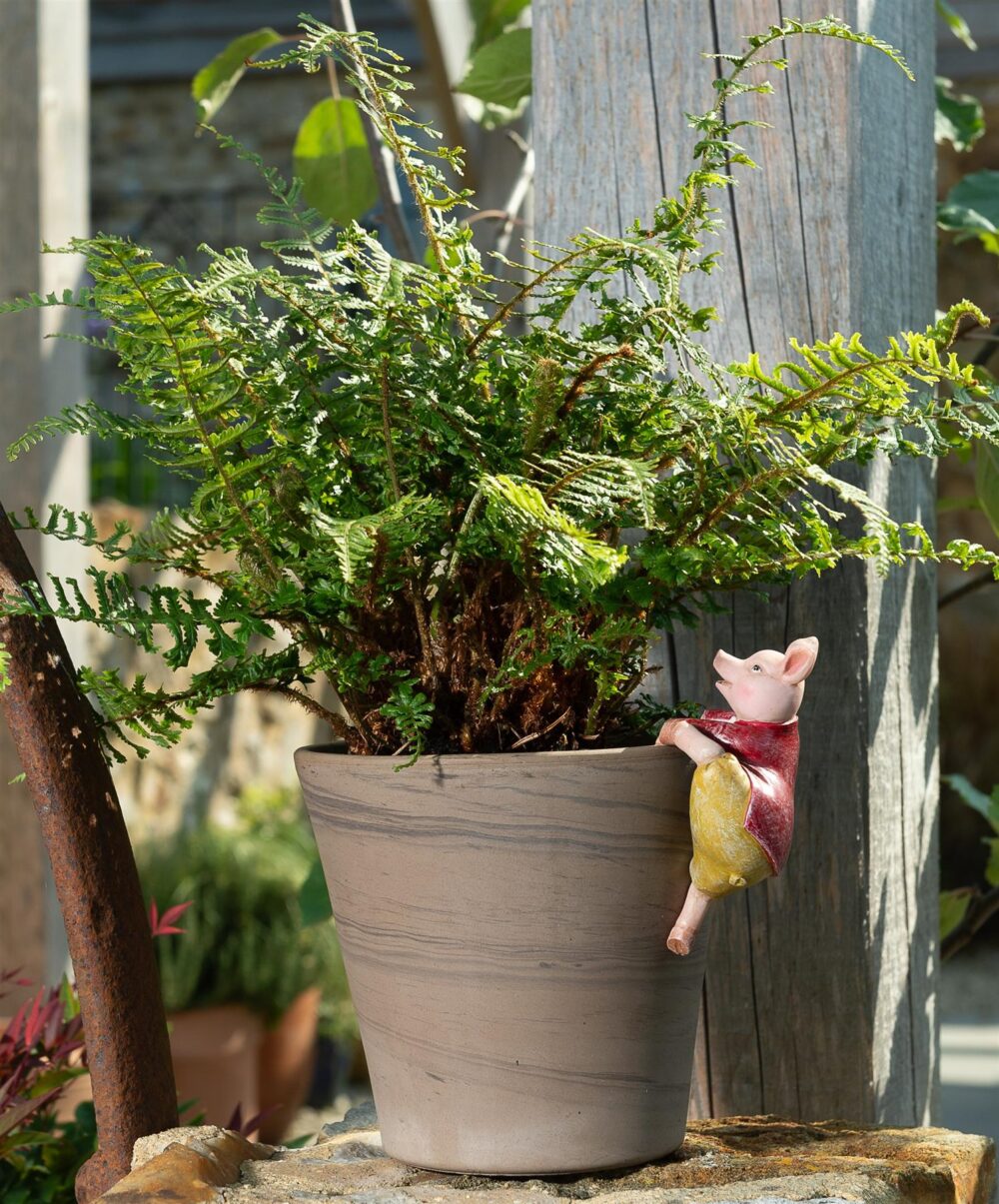 Beatrix Potter Pigling Bland Plant Pot Hanger - Image 2
