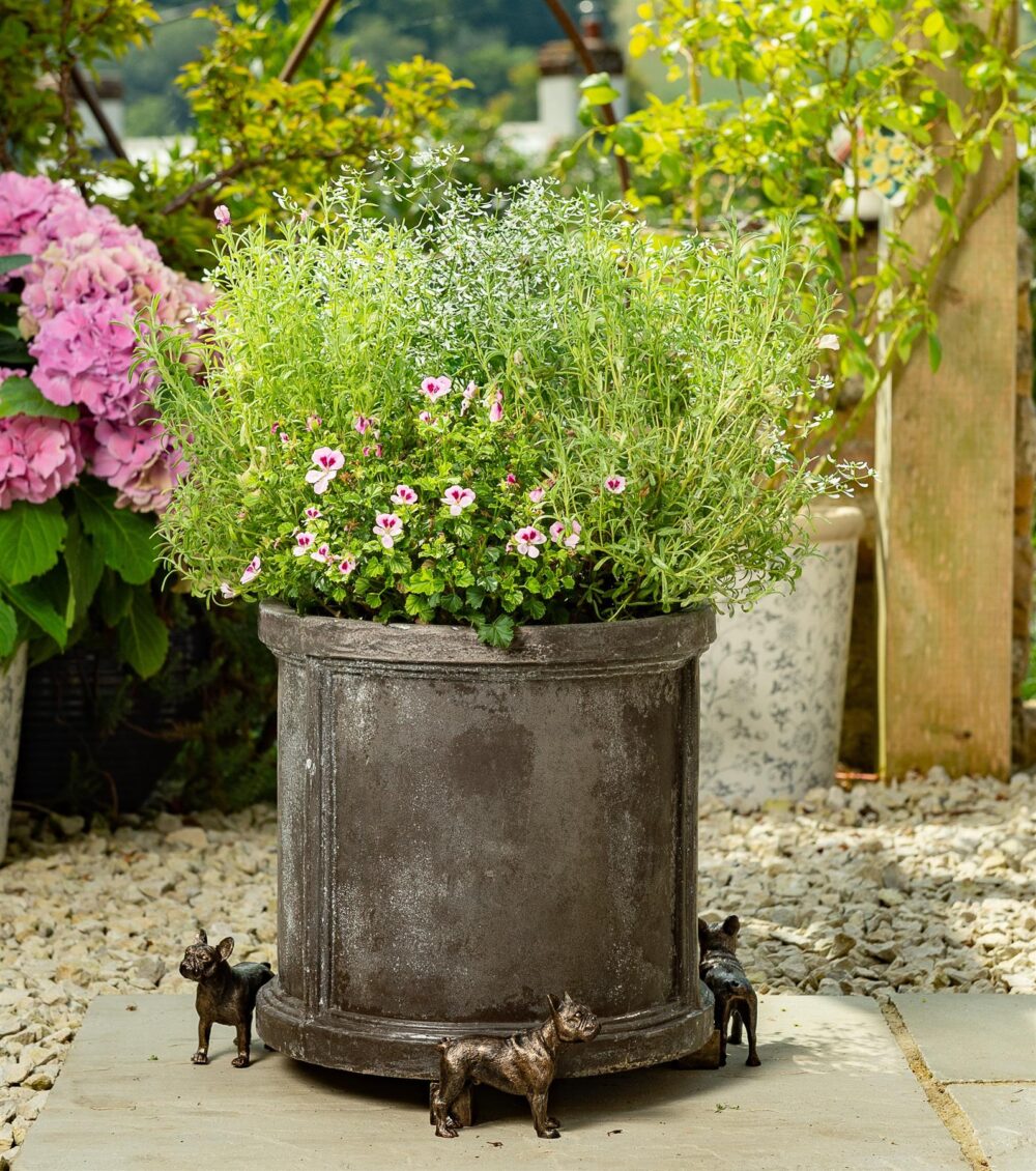 French Bulldog Plant Pot Feet - Set of 3 - Image 3