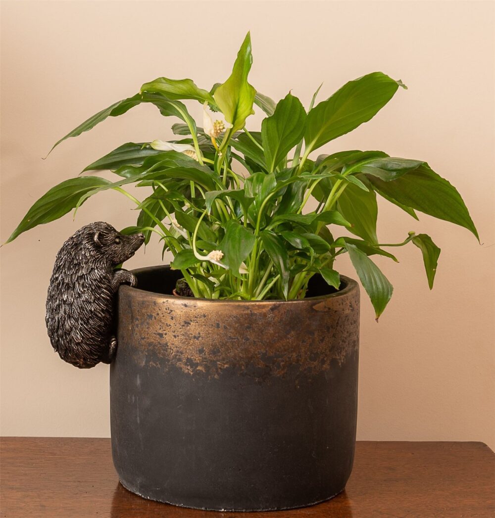 Hedgehog Plant Pot Hanger - Image 6