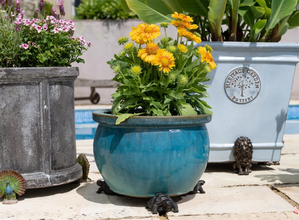 Tortoise Plant Pot Feet - Set of 3 - Image 9