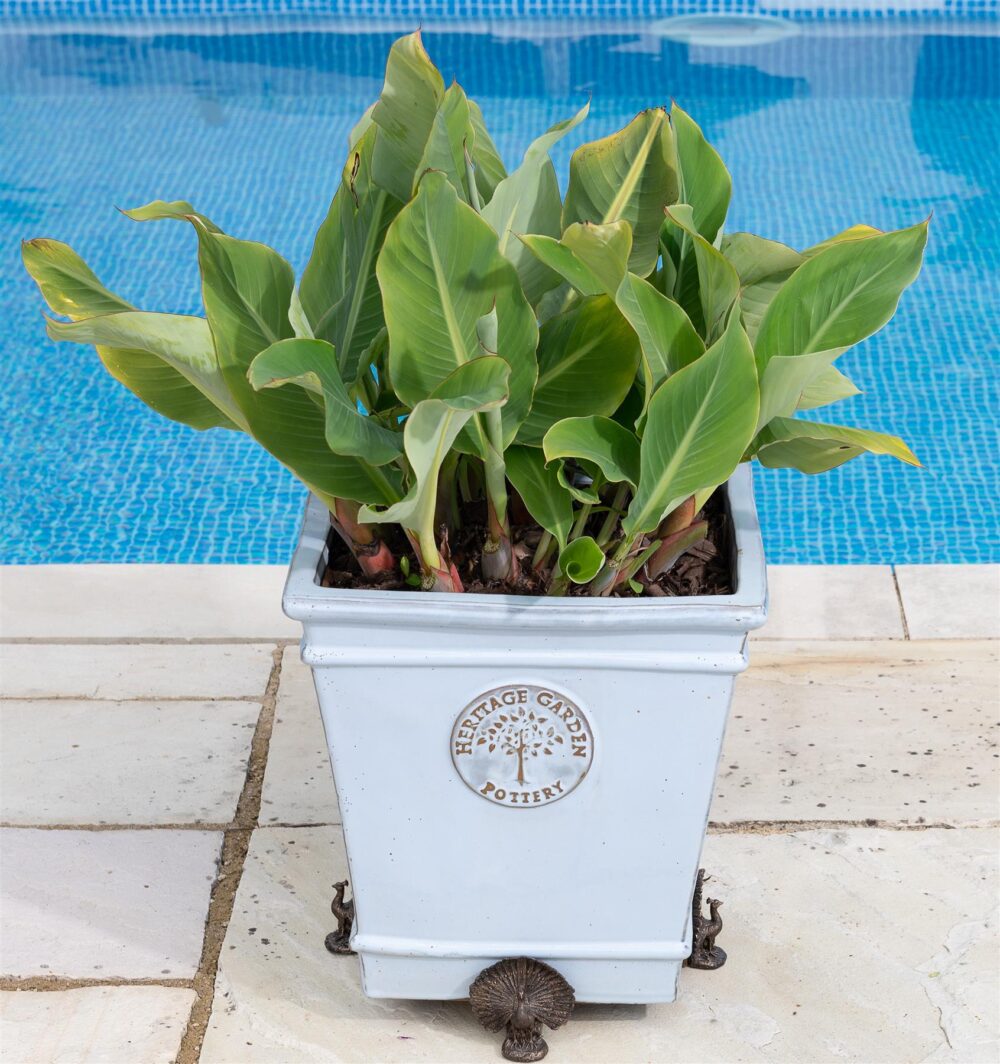 Peacock Plant Pot Feet - Set of 3 - Image 5