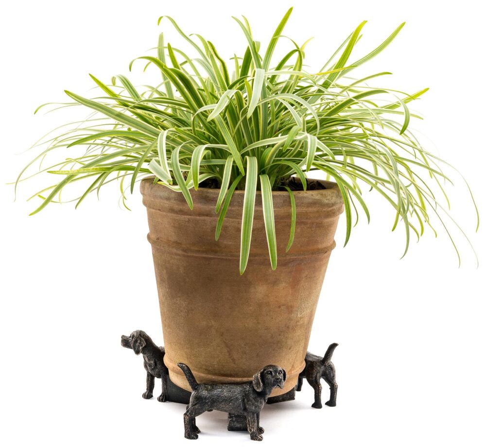 Beagle Plant Pot Feet - Set of 3 - Image 5