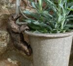 Polar Bear Plant Pot Hanger