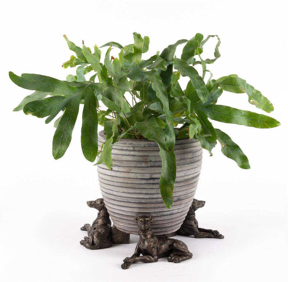 Greyhound Plant Pot Feet - Set of 3 - Image 4