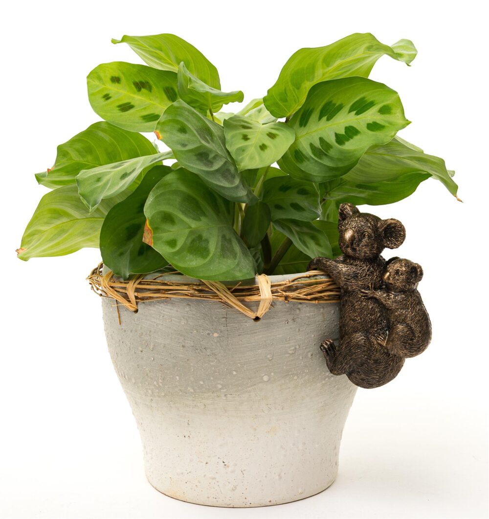 Koala and Cub Plant Pot Hanger - Image 8
