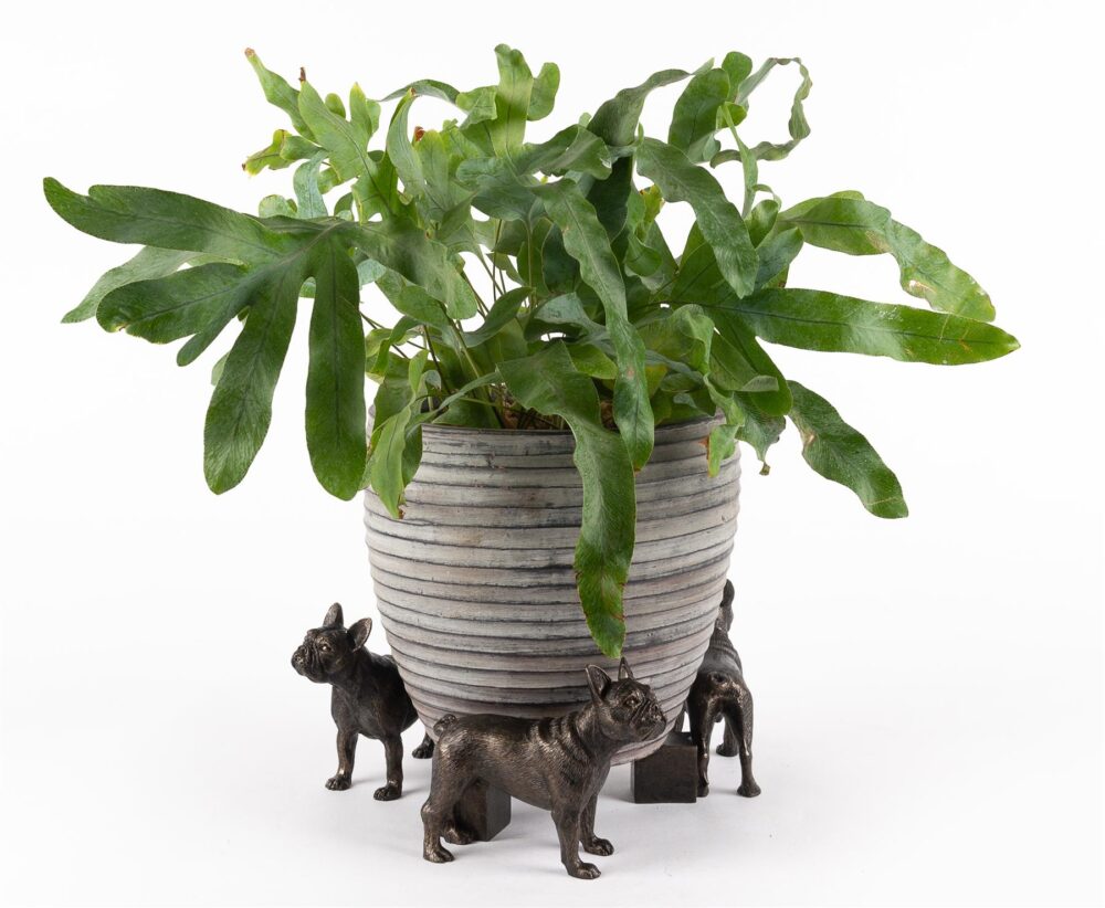 French Bulldog Plant Pot Feet - Set of 3 - Image 5