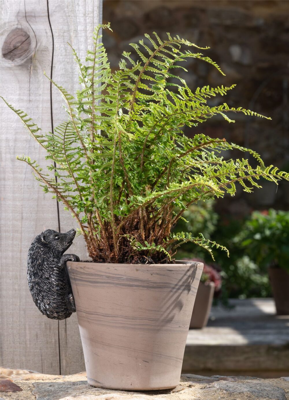 Hedgehog Plant Pot Hanger - Image 3