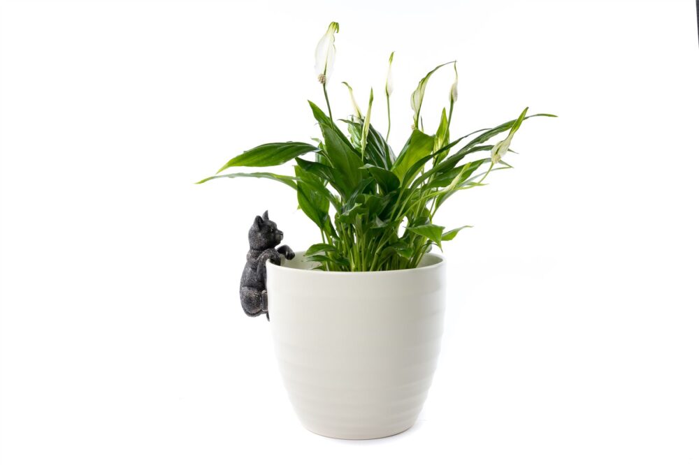 Cat Plant Pot Hanger - Image 7