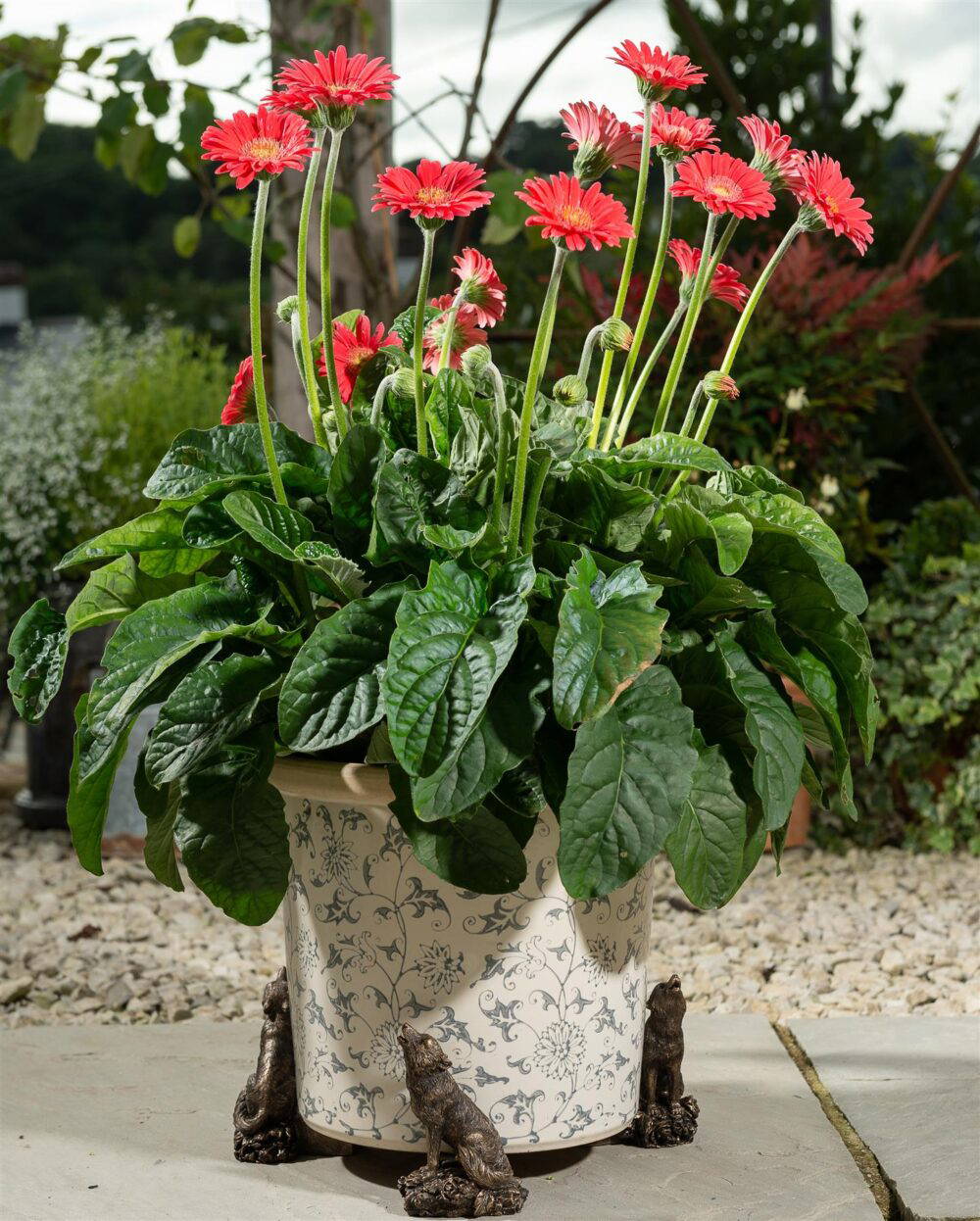 Howling Wolf Plant Pot Feet - Set of 3 - Image 3