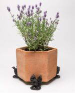 Woodpecker Plant Pot Feet - Set of 3