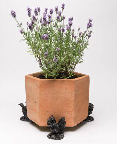 Woodpecker Plant Pot Feet - Set of 3