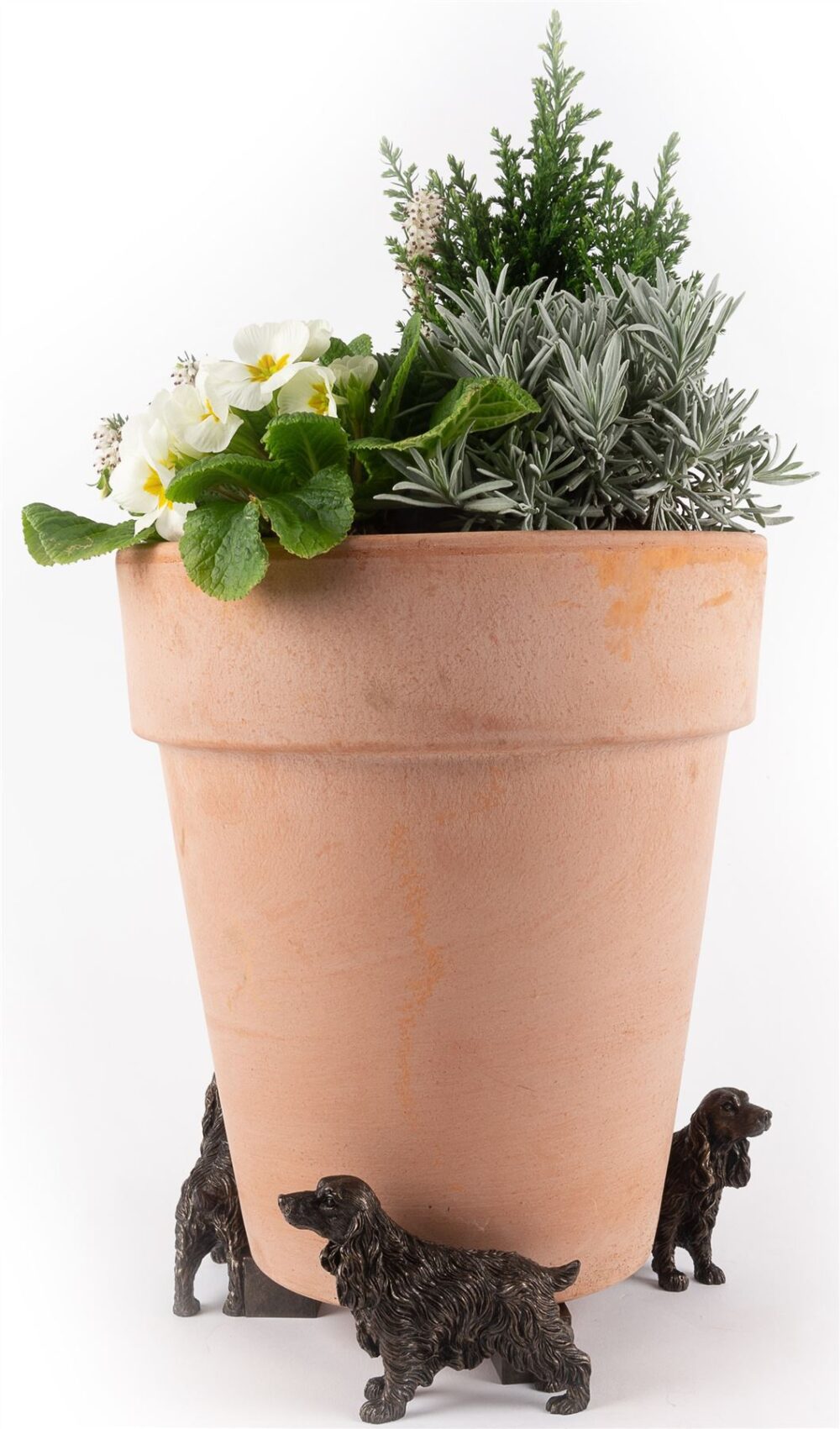 Cocker Spaniel Plant Pot Feet - Set of 3 - Image 6