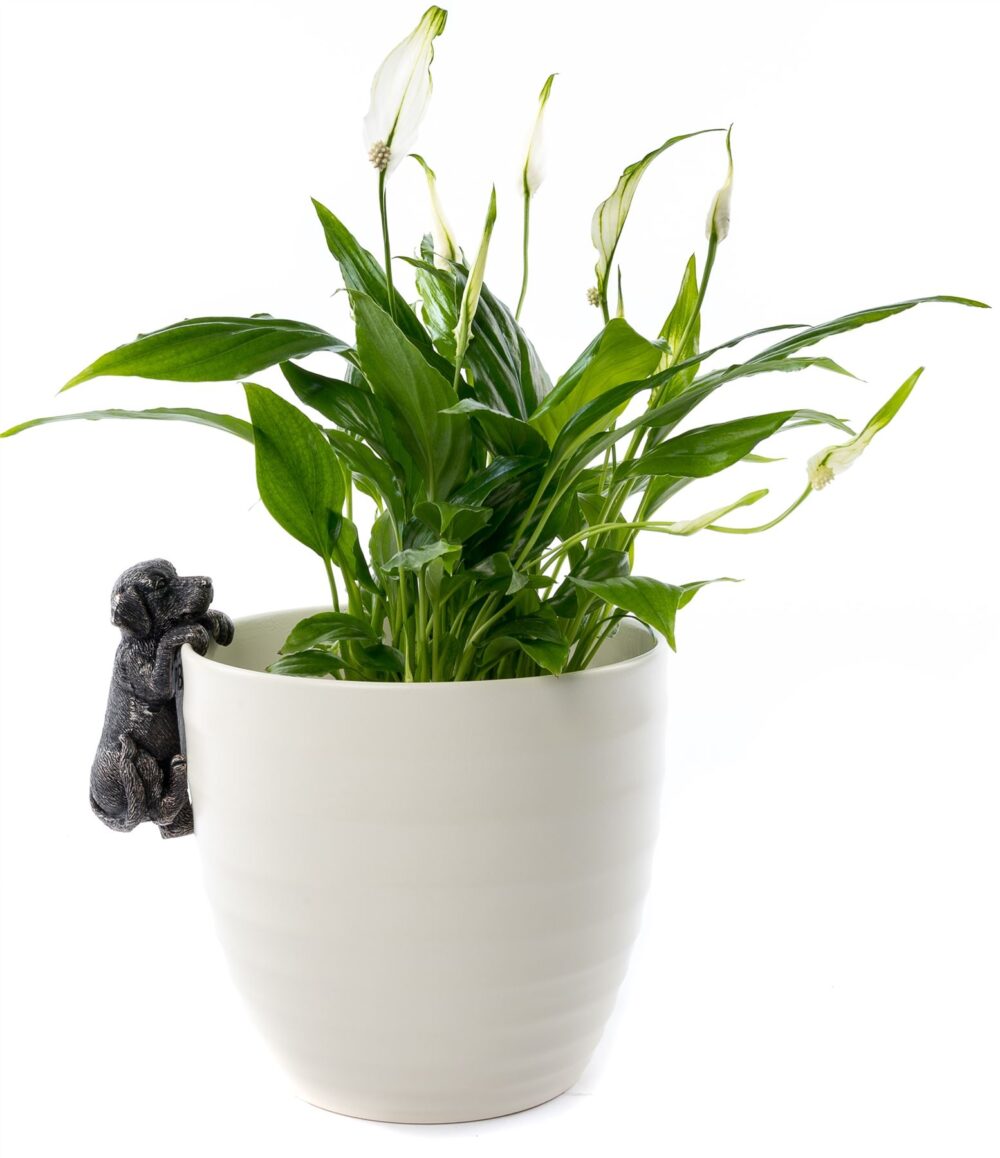 Labrador Plant Pot Hanger - Image 8