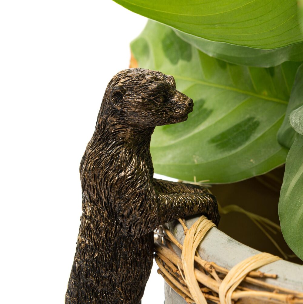Meerkat Plant Pot Hanger - Image 8
