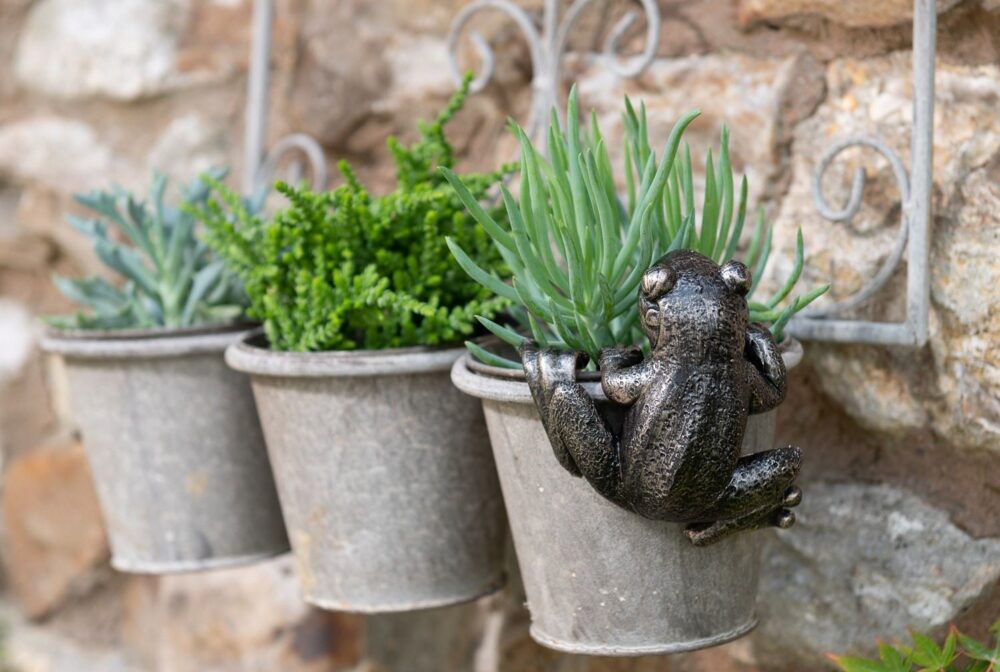 Frog Plant Pot Hanger - Image 7