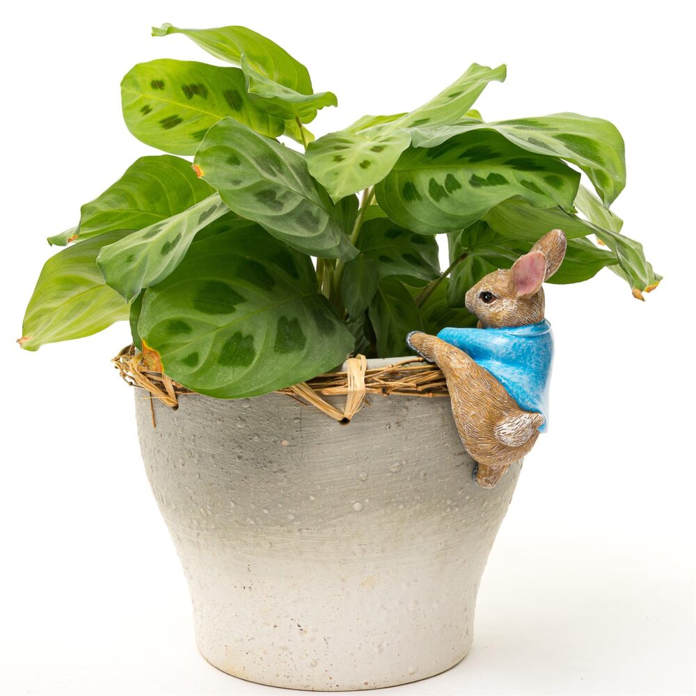 Beatrix Potter Peter Rabbit Climbing Plant Pot Hanger - Image 6