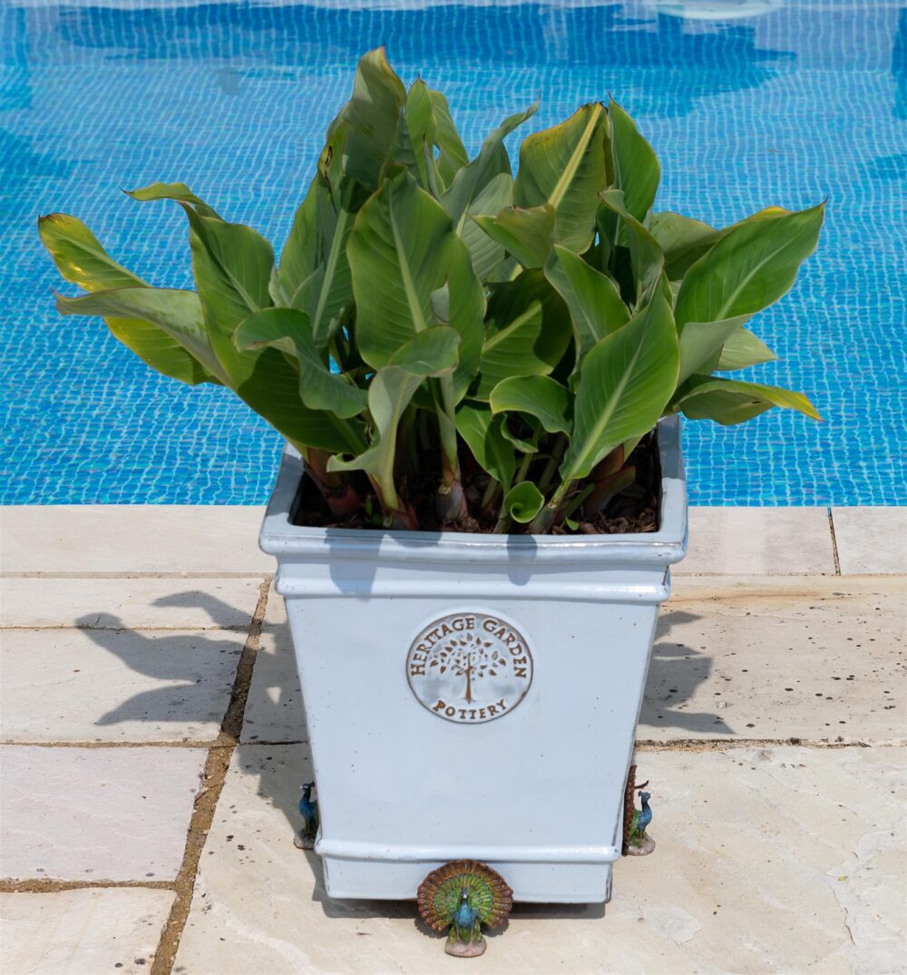 Peacock Plant Pot Feet - Set of 3 - Image 5