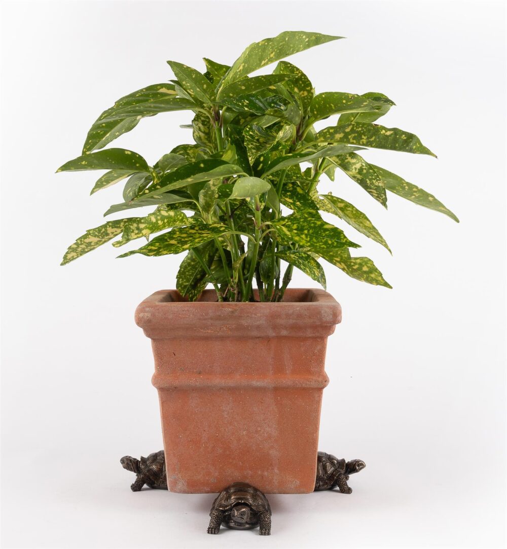 Tortoise Plant Pot Feet - Set of 3 - Image 3