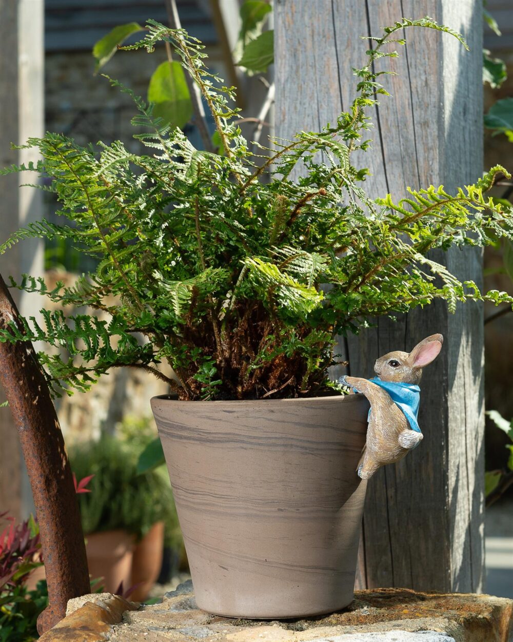 Beatrix Potter Peter Rabbit Climbing Plant Pot Hanger - Image 5