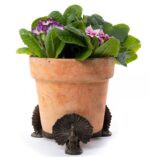 Peacock Plant Pot Feet - Set of 3