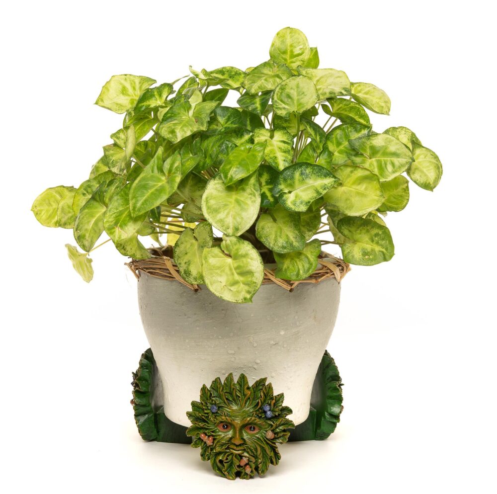 Green Man Plant Pot Feet - Set of 3 - Image 5