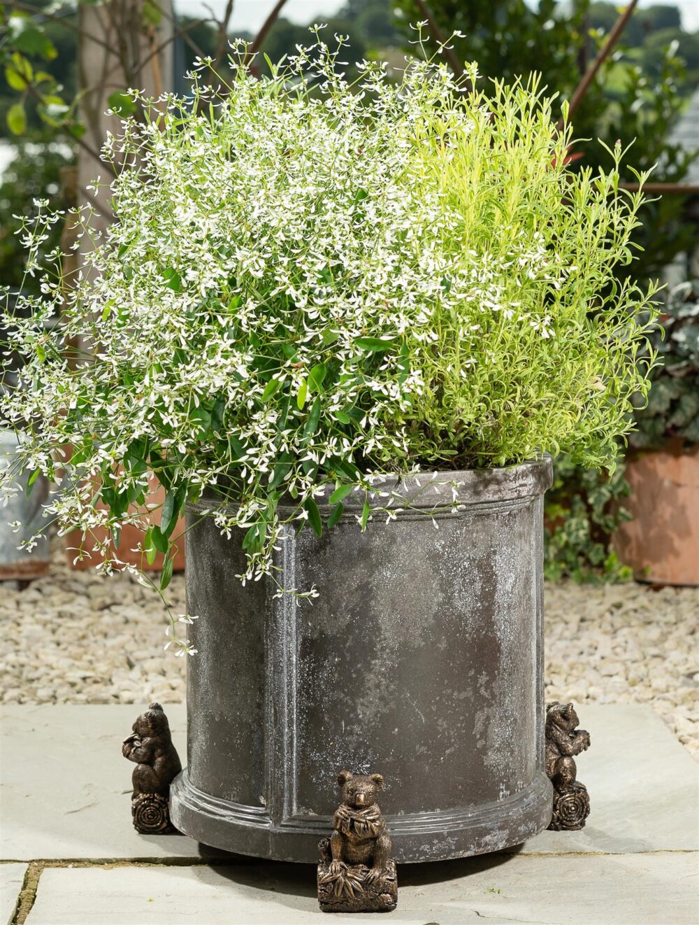 Koala Bear Plant Pot Feet - Set of 3 - Image 5